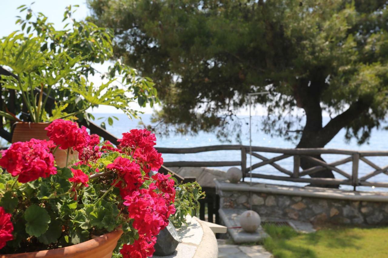 Seaside Apartment Agia Paraskevi  Exterior photo